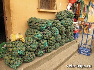 Авокадо продаются мешками, как картошка