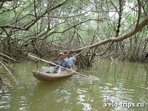 Mexico, Celestun. Mangroove trees kayaking