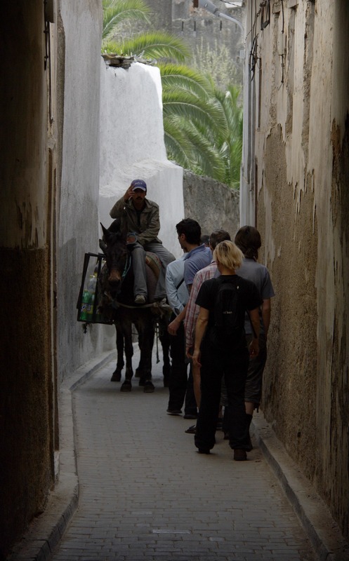 Morocco, Fes. Donkey and tourists on the narrow old town's streets