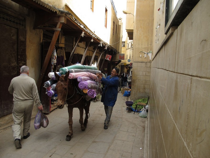 Morocco, Fes. Donkey on the medina streets