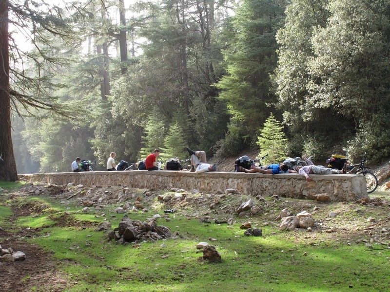 Morocco. Bicycle group rests in the forest