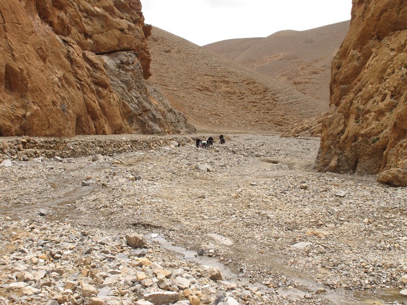Morocco, Tamtetoucht. Dry river stream canal