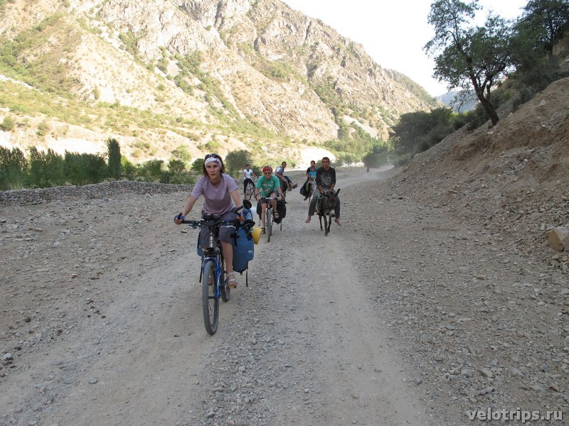 Tajikistan, Dushanbe. Donkeys and bicycles