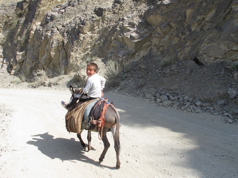 Tajikistan, Zeravshan river. Boy on donkey