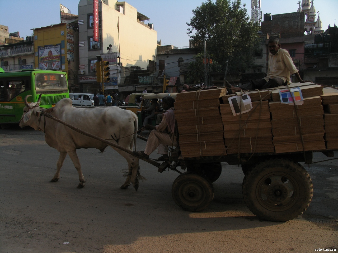 Bull cart on Delhi streets, India