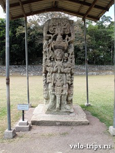 Maya stella in Copan, Honduras