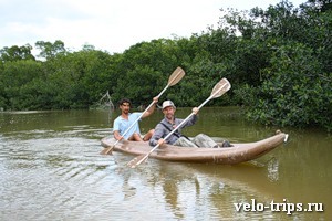 Mexico, Celestun kayaking among mangrove trees