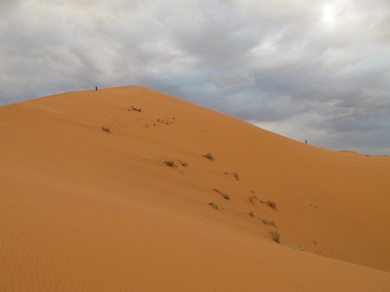 Morocco, Merzouga. Very high dune.