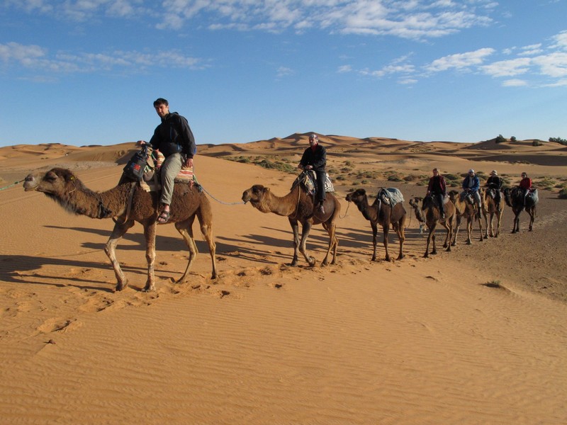 Morocco, Merzouga. Camel caravan